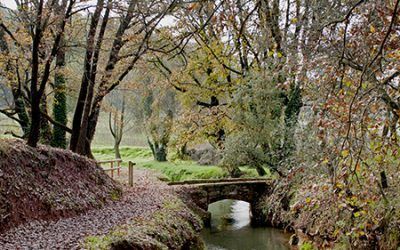 TESOROS DEL BAGES